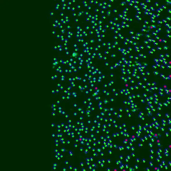 Overlay of TPEF and LA-ICP-MS Yb data showing matched particle centroids, displacement vectors and outliers